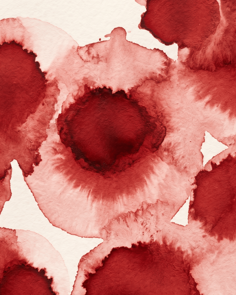 Bottled fountain pen ink from the red drawer.